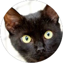 Niels Bannink profielfoto